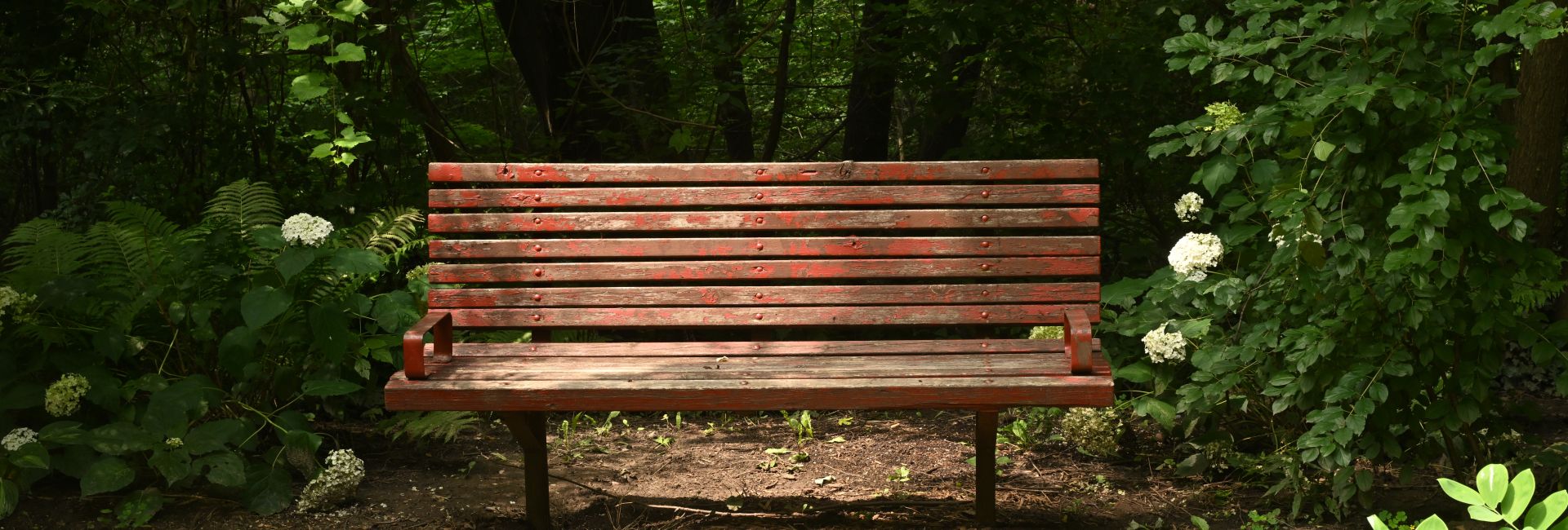 bench