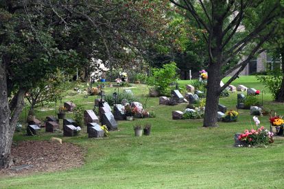 trees and graves at Beechwood