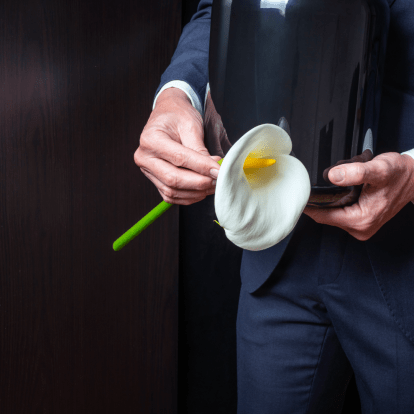 hands holding a flower