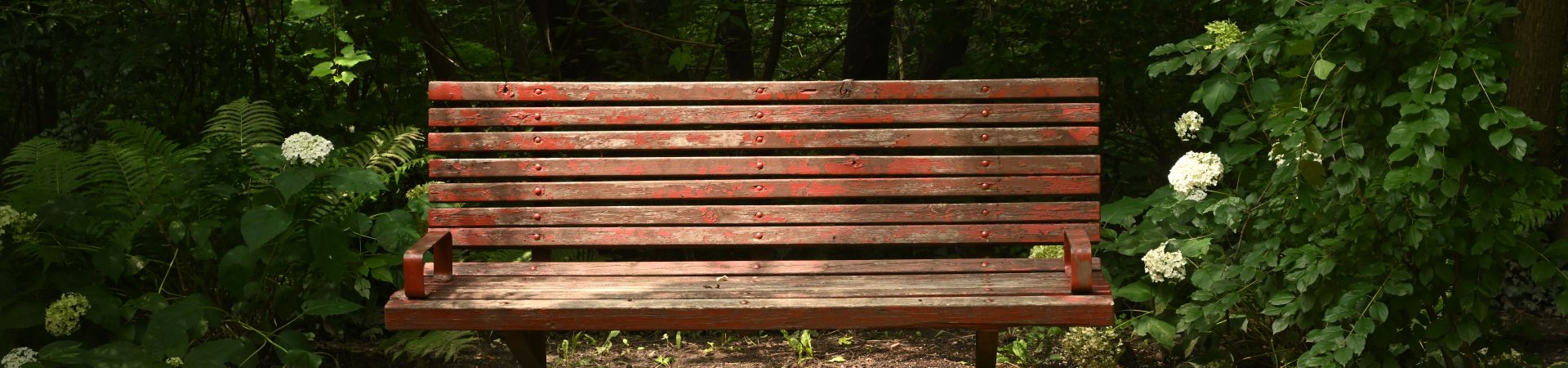 bench