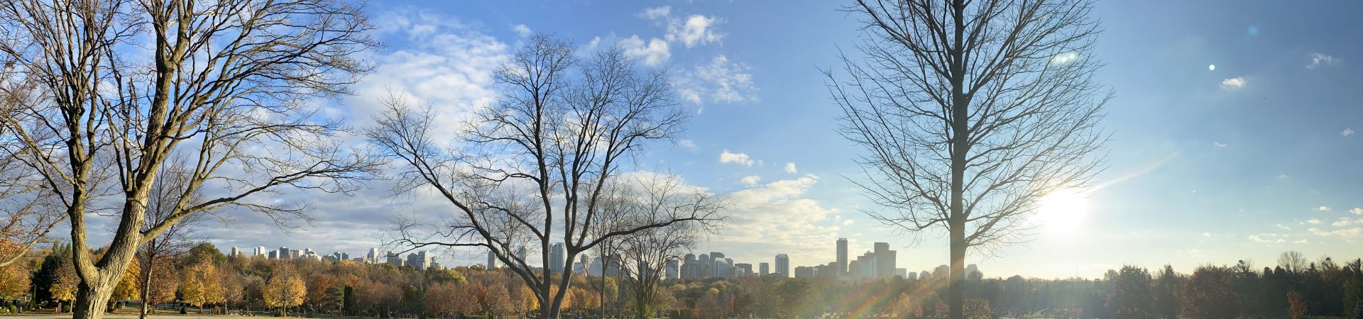 view of York Cemetery