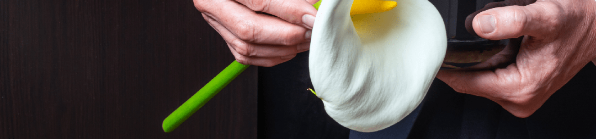 man in suit with flower